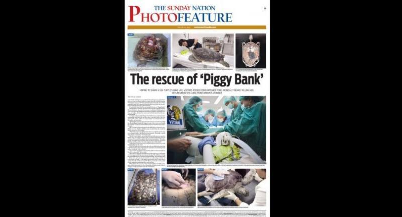 The rescue of ‘Piggy Bank’ 