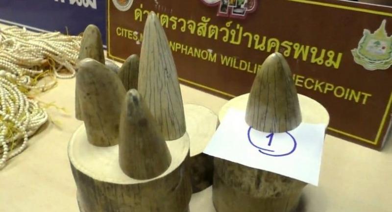 Vietnamese woman arrested in Nakhon Phanom with 22kg of ivory pieces