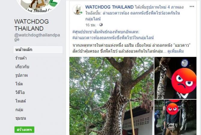 Soldier being hunted after Facebook posts of alleged leopard poaching and skinning