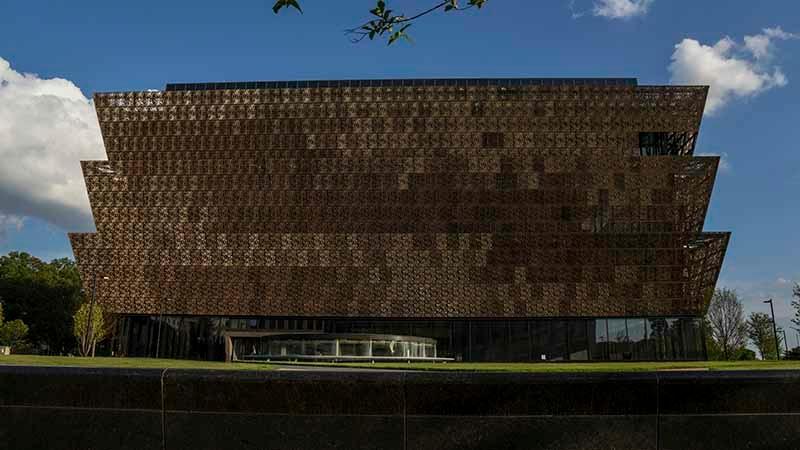 African American museum site removes 'whiteness' chart after criticism from Trump Jr. and conservative media