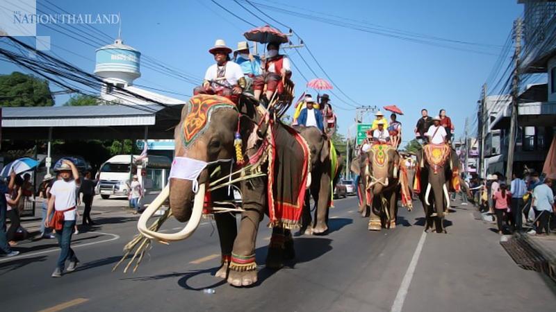 Rumble from the jungle as annual elephant festival shakes Surin