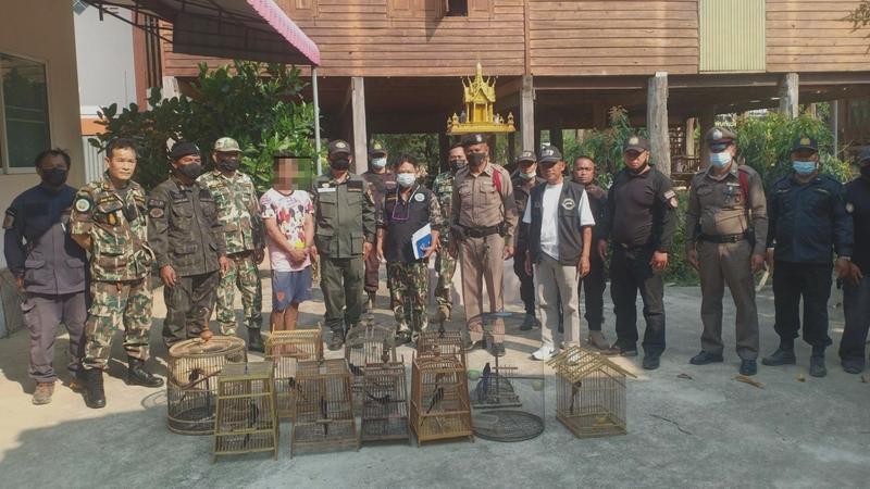 Officials swoop down on Sukhothai house, arrest owner for allegedly selling protected birds