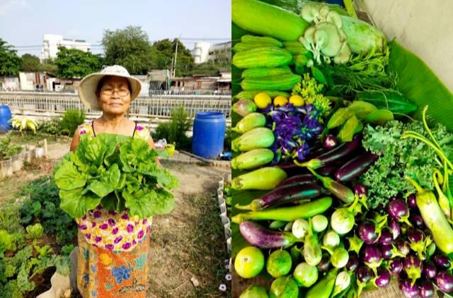 Thais eat low fruits and vegetables and too much salt, UN says