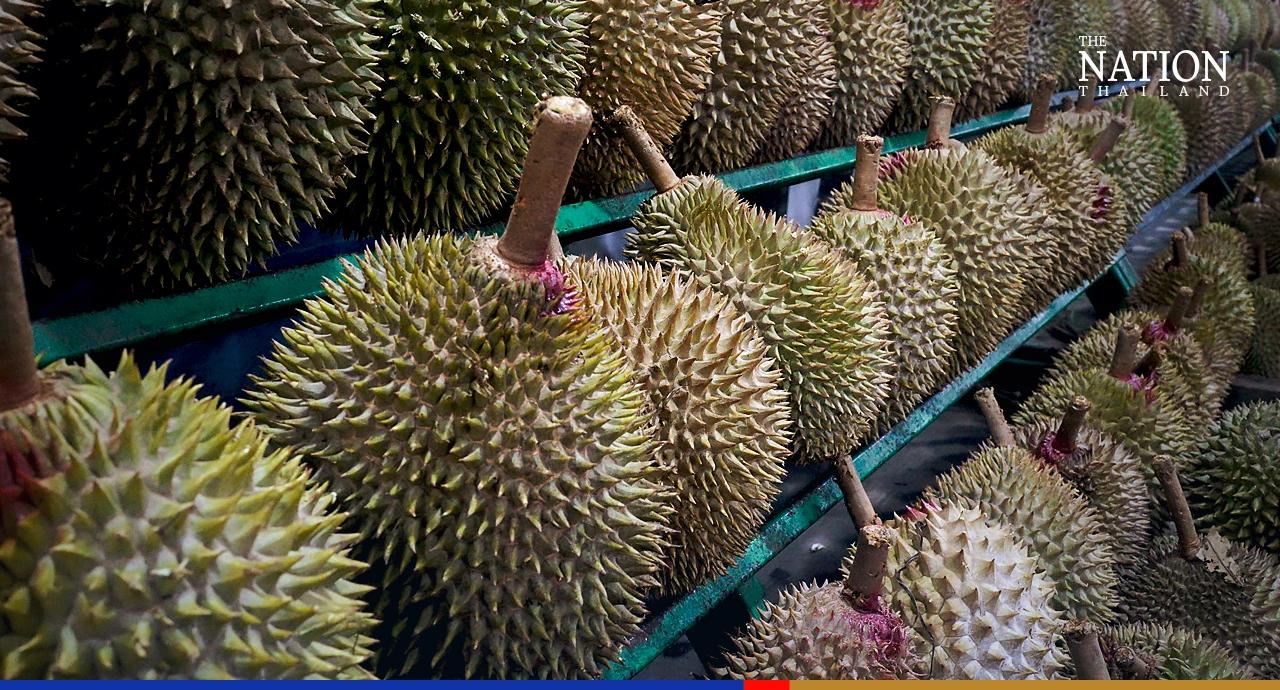 Vietnam fast becoming Thailand’s competitor in China durian market